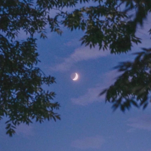 亚洲老奶老太性爱视频
