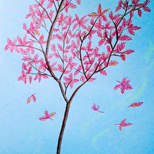 亚洲老奶老太性爱视频
